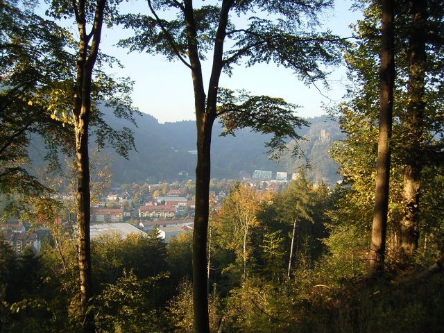 Blick nach Waldkirch
